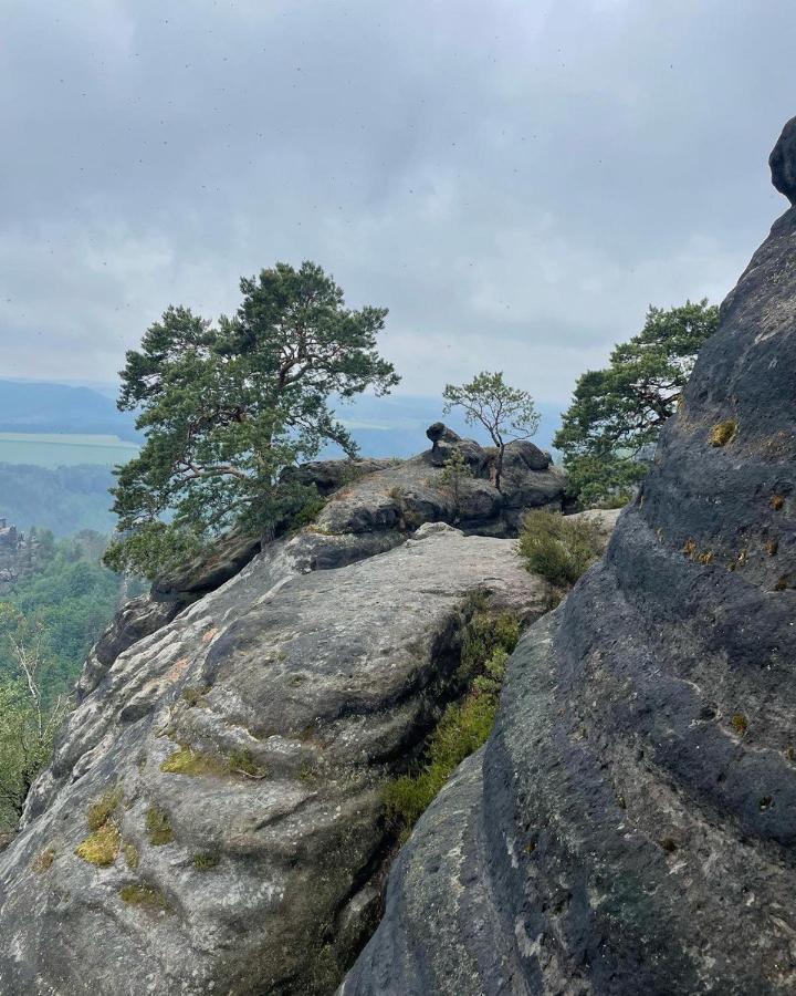 Bergblick Apartment SäChsische Schweiz Sebnitz Extérieur photo